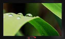 厂家供应32寸监视器