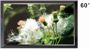 60高清液晶监视器