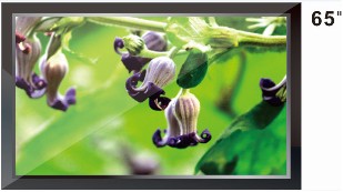65寸高清液晶监视器