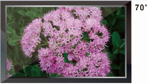 70寸高清液晶监视器