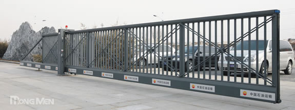 电动悬浮门P703B-G