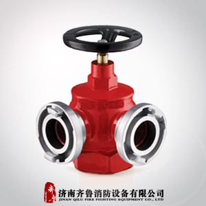 厂家批发直销SNS65单阀双出口型室内消火栓