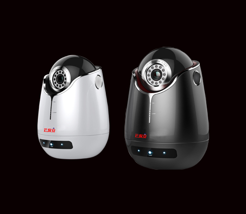 视频监控与联网报警