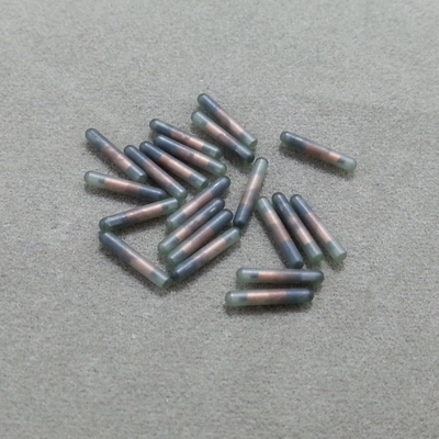 龙鱼身份识别龙鱼晶片