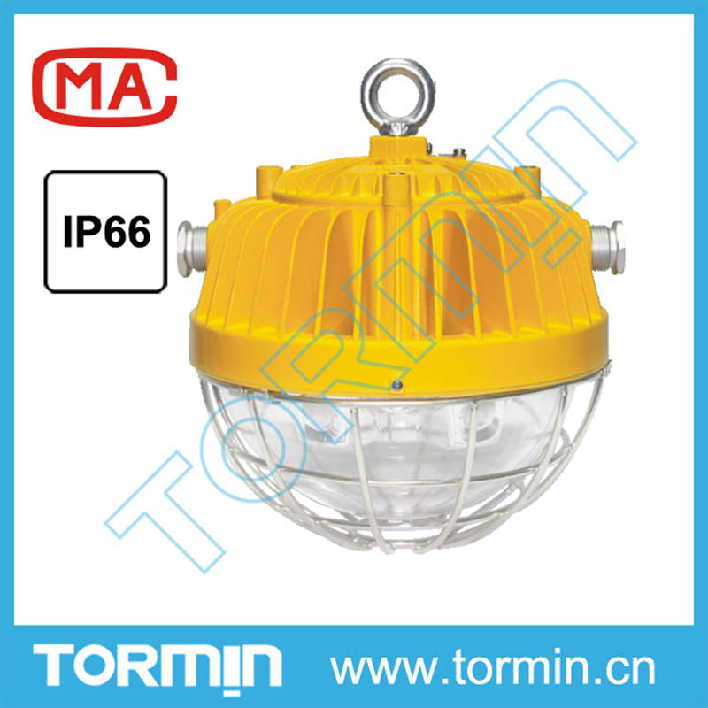 DGS45/127L(A) 矿用隔爆型LED巷道灯