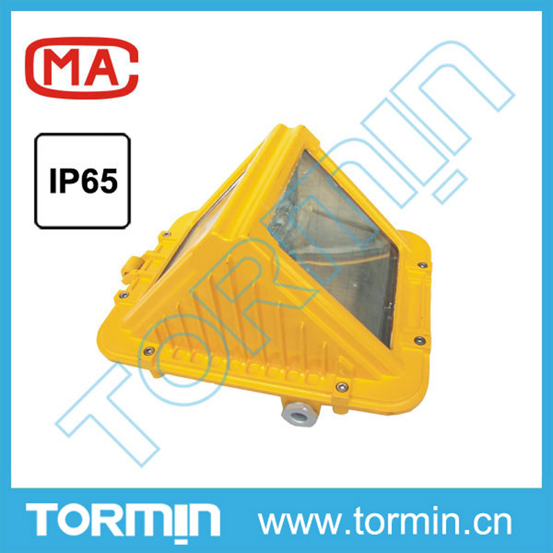 DGS70/127B(C) 矿用隔爆型巷道灯