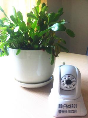 百万高清家居型网络摄像机