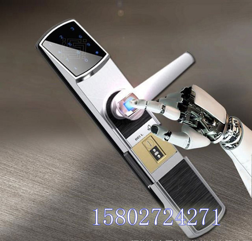 密码锁 指纹锁 公寓别墅密码指纹锁 办公室家用密码指纹锁