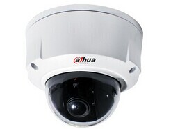 DH-IPC-HDB8301系列大华半球摄像机