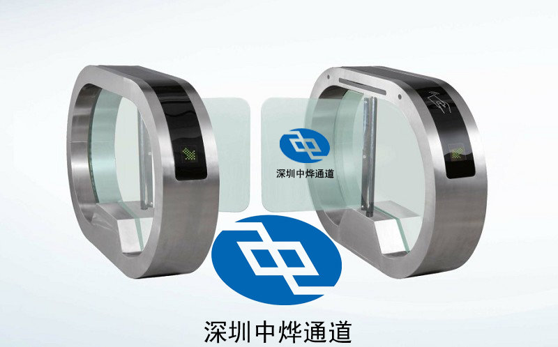 立式摆闸 自动摆闸 电动摆闸 厂家直销