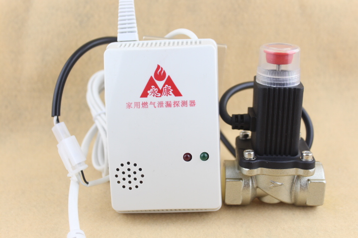 气体泄漏探测器 燃气泄漏报警器