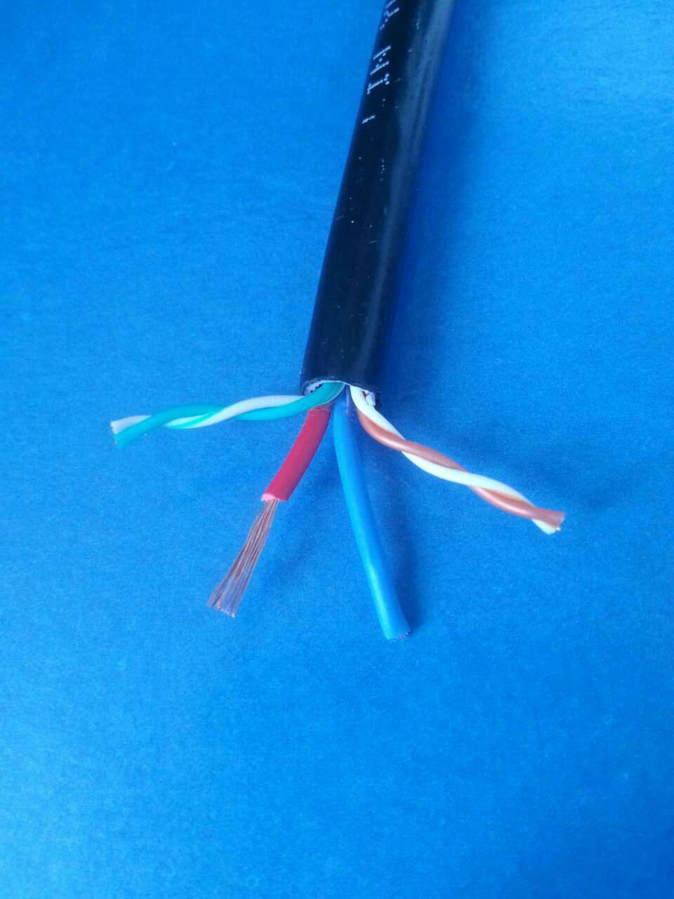 金鳞羽网络综合线