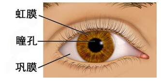 虹膜识别门禁监控系统