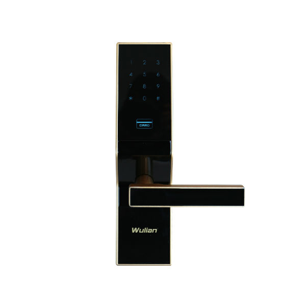 物联传感招商/Wulian密码卡锁