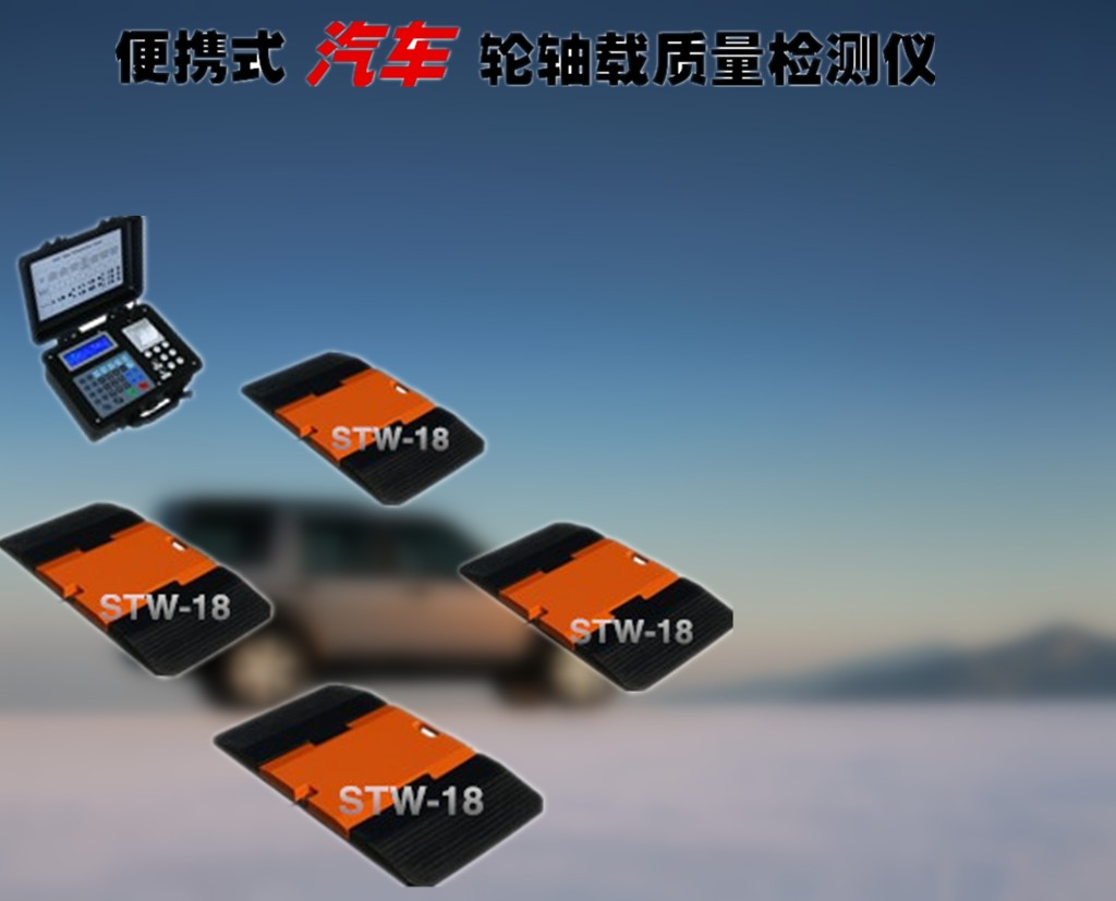 浙江润鑫便携式汽轮荷仪价格