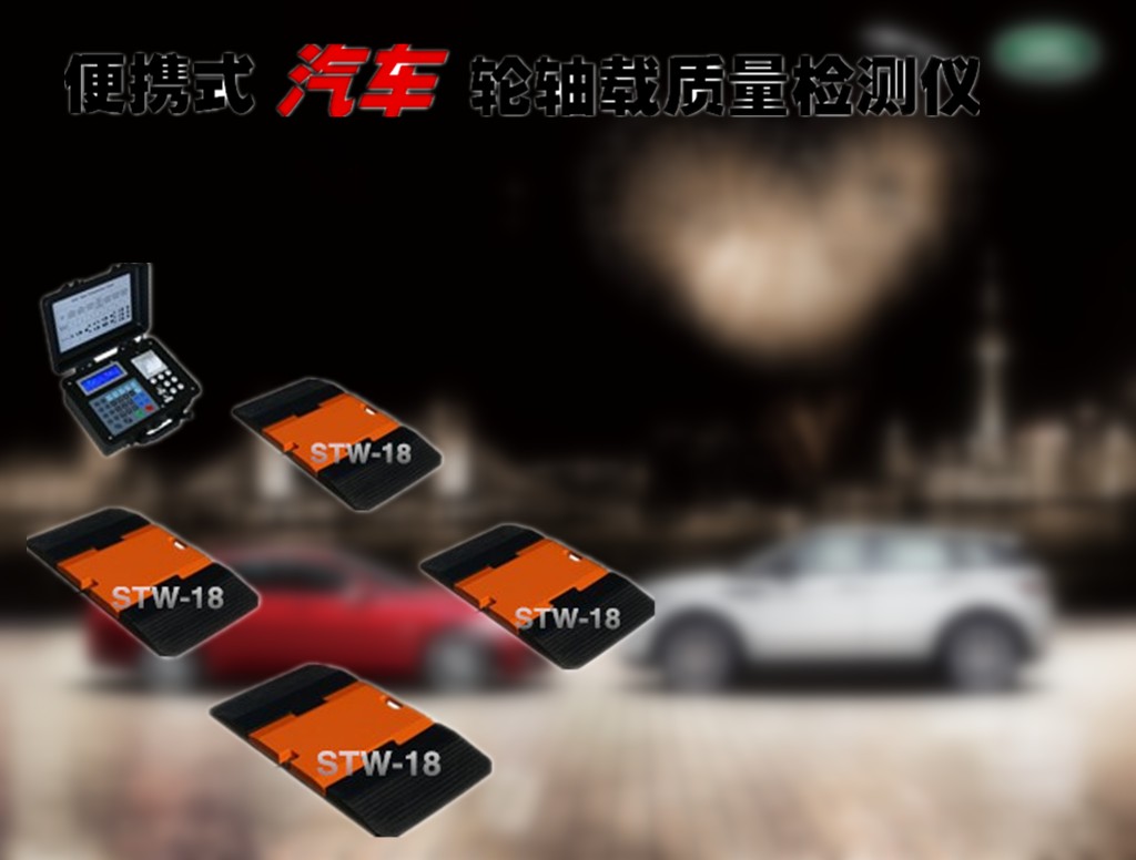  浙江润鑫便携式轮重衡价格