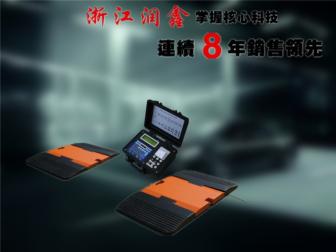  浙江润鑫轮荷秤厂家