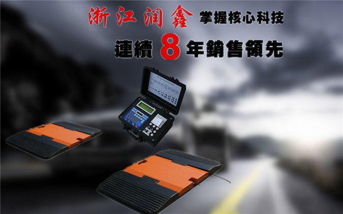 浙江润鑫进口国产动静态轴重仪价格