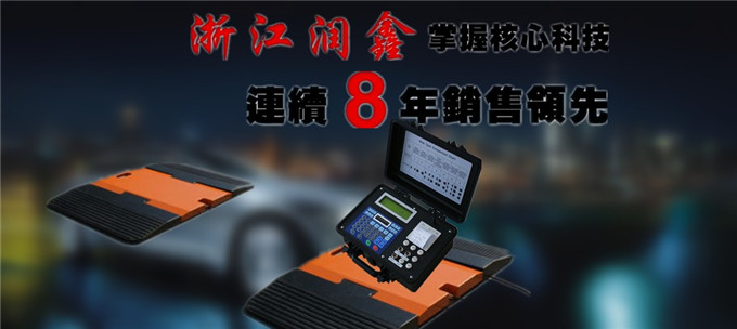 浙江润鑫轮重检测仪价格