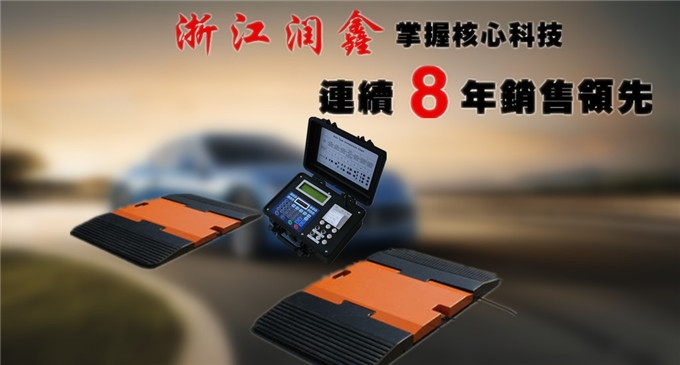 浙江润鑫高质量汽车轮重仪价格