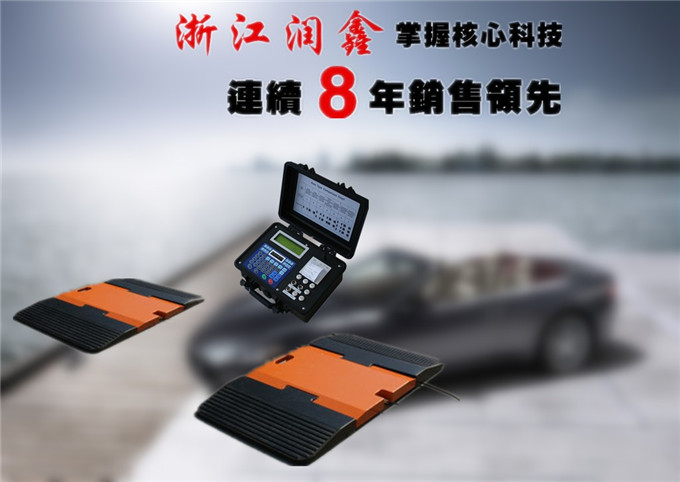 浙江润鑫小车轮重仪价格