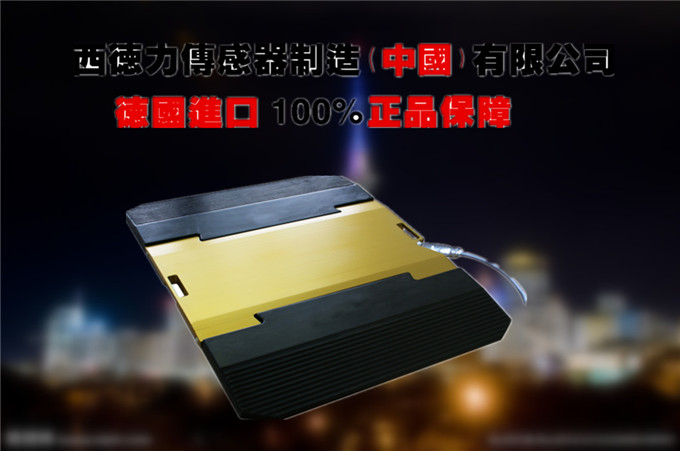 进口移动地磅价格_进口便携式地磅厂家_进口超限运输检测仪图片