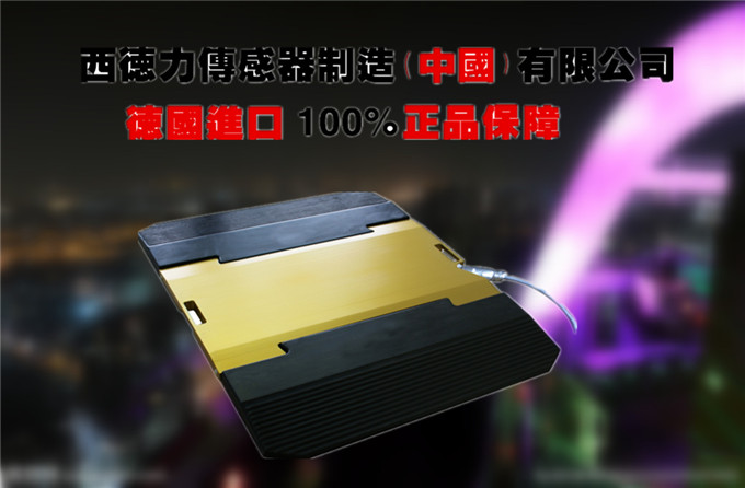 进口无线便携式汽车称重仪价格_进口汽车超限仪厂家