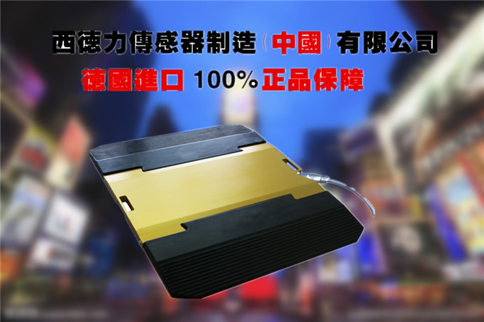 进口汽车称重仪价格_进口超载超限检测仪厂家