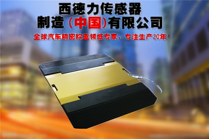 进口超限检测设备价格_进口车辆超限检测仪厂家