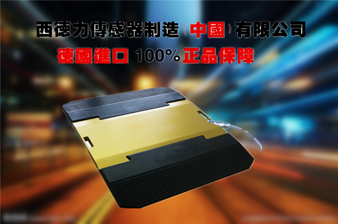 进口便携式超限检测仪价格_进口无线液晶触摸屏超载检测仪