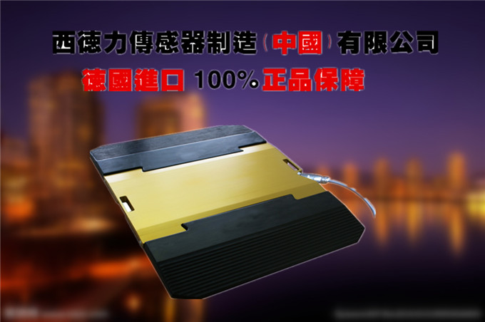 进口汽车重量检测仪价格_进口超限检测车厂家