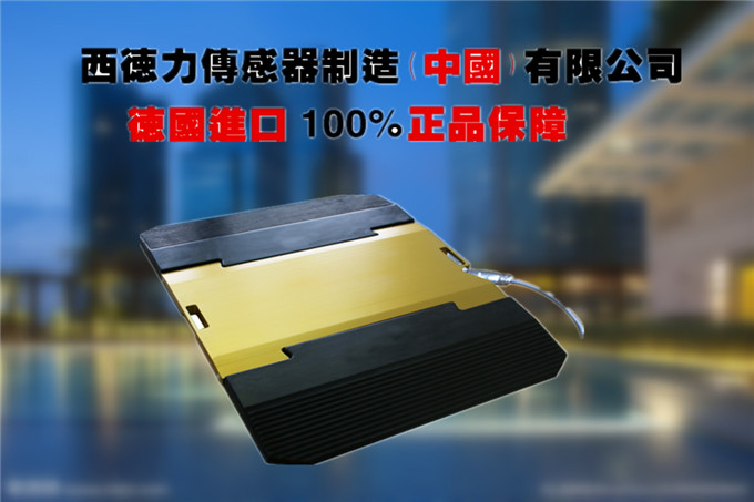 进口汽车超限检测仪价格_进口车辆超限超载检测仪厂家