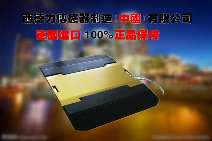 进口便携式汽车重量检测仪价格_进口超限仪厂家