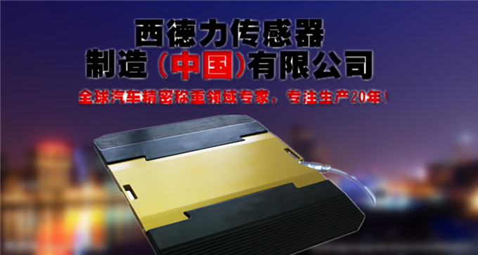 进口无线超限检测仪价格_进口公路超限仪厂家