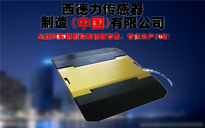 轴载质量检测仪价格_轴载质量检测装置厂家