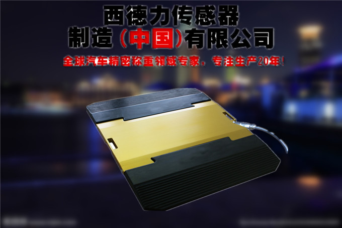 轴载质量检测系统价格_便携式称重仪厂家_汽车称重仪图片