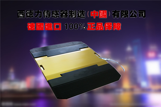 便携式轴重仪价格_便携式汽车称重仪厂家_超载汽车称重仪图片