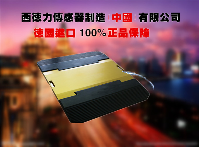 超载车检测仪价格_便携式汽车称重仪厂家_超限检测器材图片