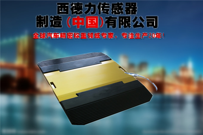 轮轴称重仪价格_便携式轮重称厂家_便携式汽车轮重称图片