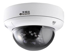 200万像素高清网络防暴红外半球TSD804-P2002-20HSR