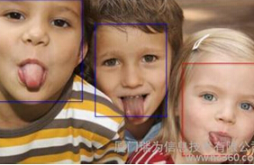 集众优点与身的人脸识别系统将成功进入黄金发展期