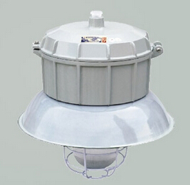 新黎明BF增安型防爆防腐灯