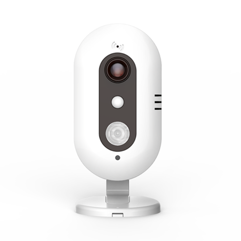 网络视频防盗主机