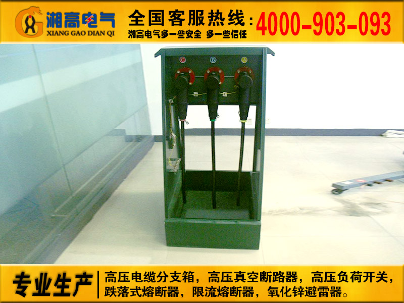 不锈钢高压电缆分支箱 DFW-12/630带避雷器带开关 各分接箱种定做