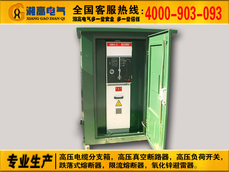 一进二出不锈钢外壳DFW-12/630高压分支箱