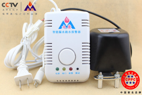  国产正品销售永康牌车载燃气泄漏检测器价格