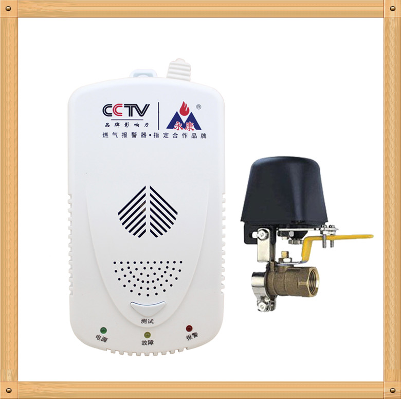 燃气报警器 品牌燃气报警器 