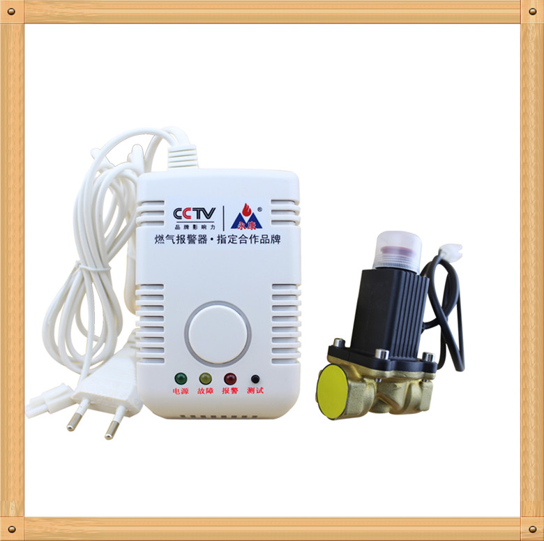 永康牌煤气报警器 厨房气体泄漏报警器