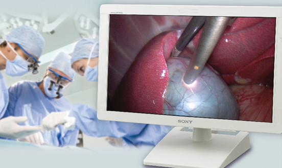 索尼SONY PVM-2551MC液晶监视器