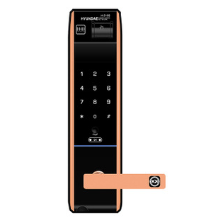 韩国三星指纹锁批发现代密码指纹锁杨格防盗指纹锁批发